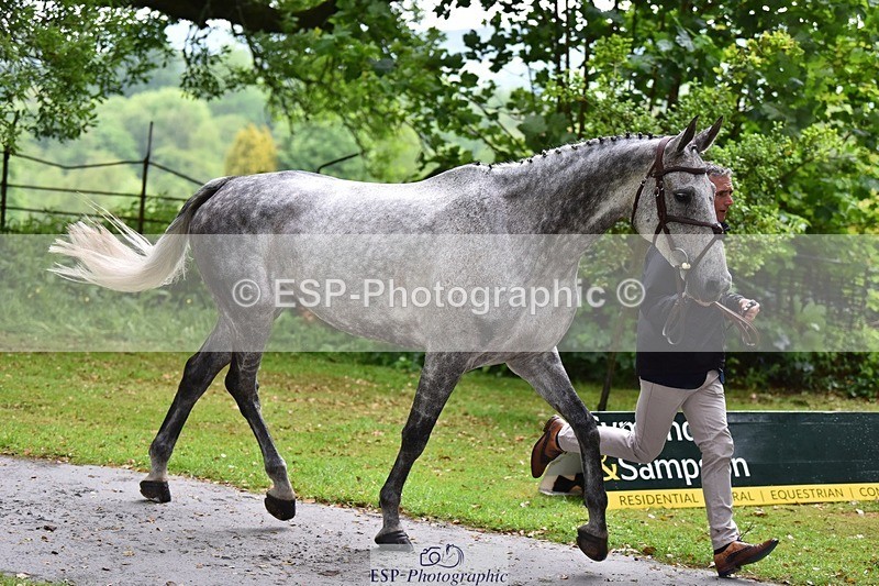 240522-152456-00325 - 354-COOLEY_STIRLING-Andrew_James