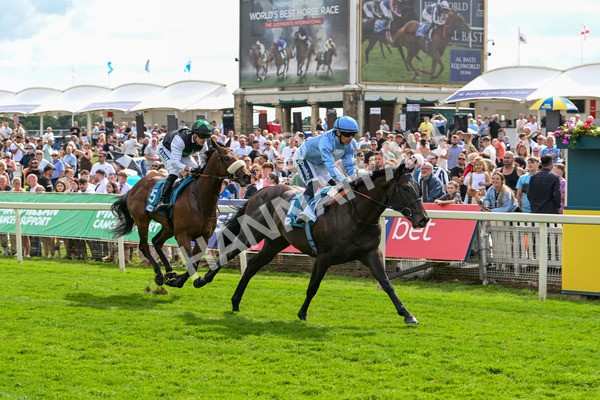140625-Race 5-Egoli-3093 - Race 5 4.10pm Reg Griffin Appreciation EBFstallions.com Maiden Stakes
