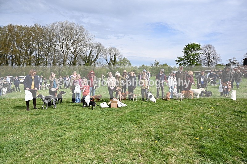 WJ6_8398 - Class 4 Prettiest Bitch