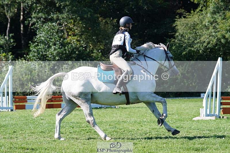 240811A-163840-06368 - 413-