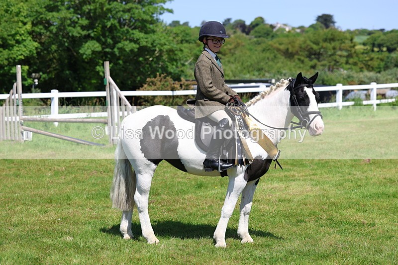 3E7A6825 - Working Hunter Pony Championship