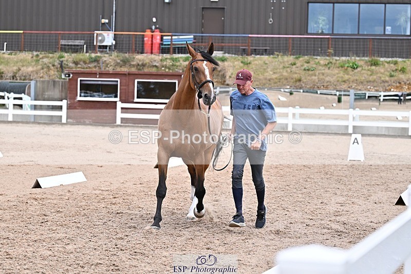 250716-135454-00700 - Trot Up 1.30 to 2.30