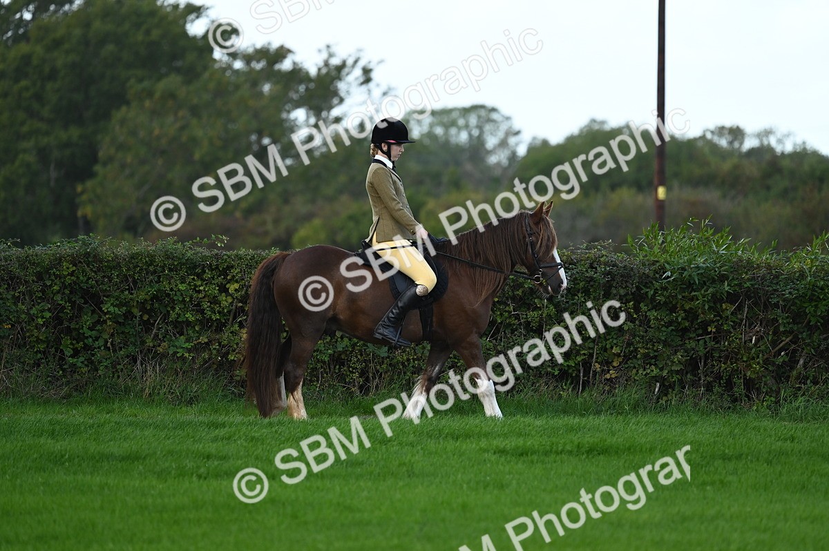 SBM_02541 - S3 - TSR Ridden Pony Showing