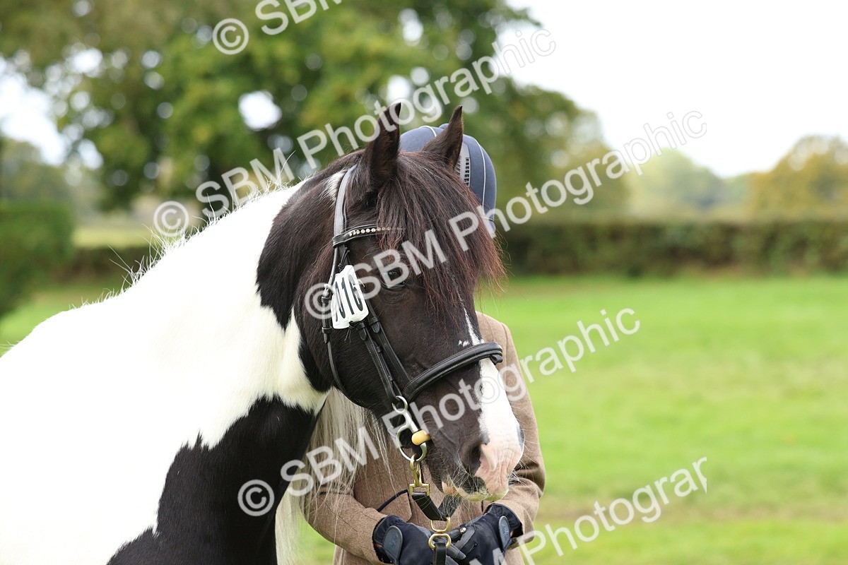 SBM_40785 - S25 -  Veteran In Hand