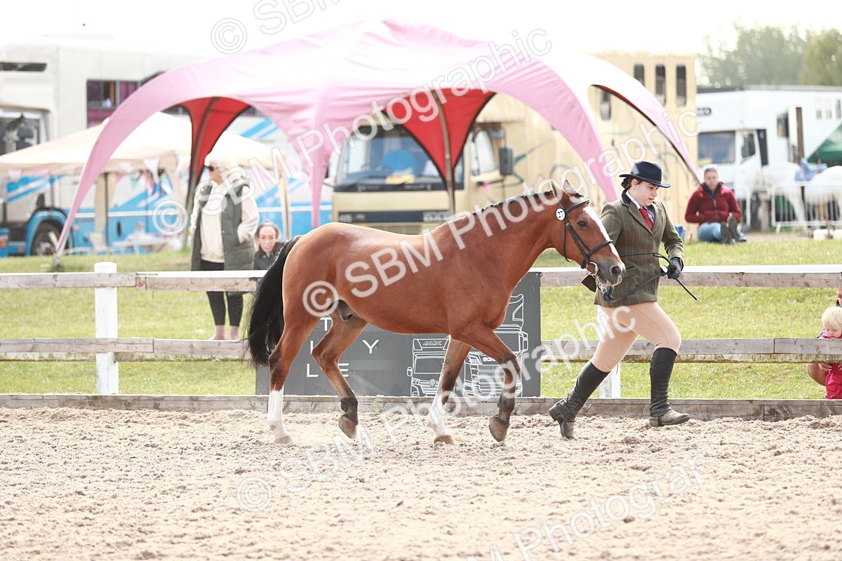 SBM_13838 - Class 209 IH Veteran Pony