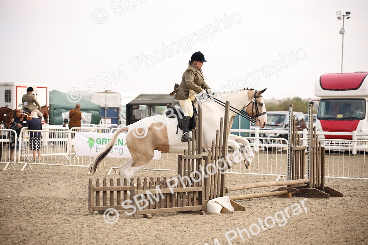 SBM_12914 - Class 406a - Working Veteran 50cm (15-19)