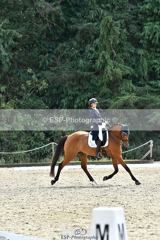 260802A-153115-07449 - Intermediate Bronze