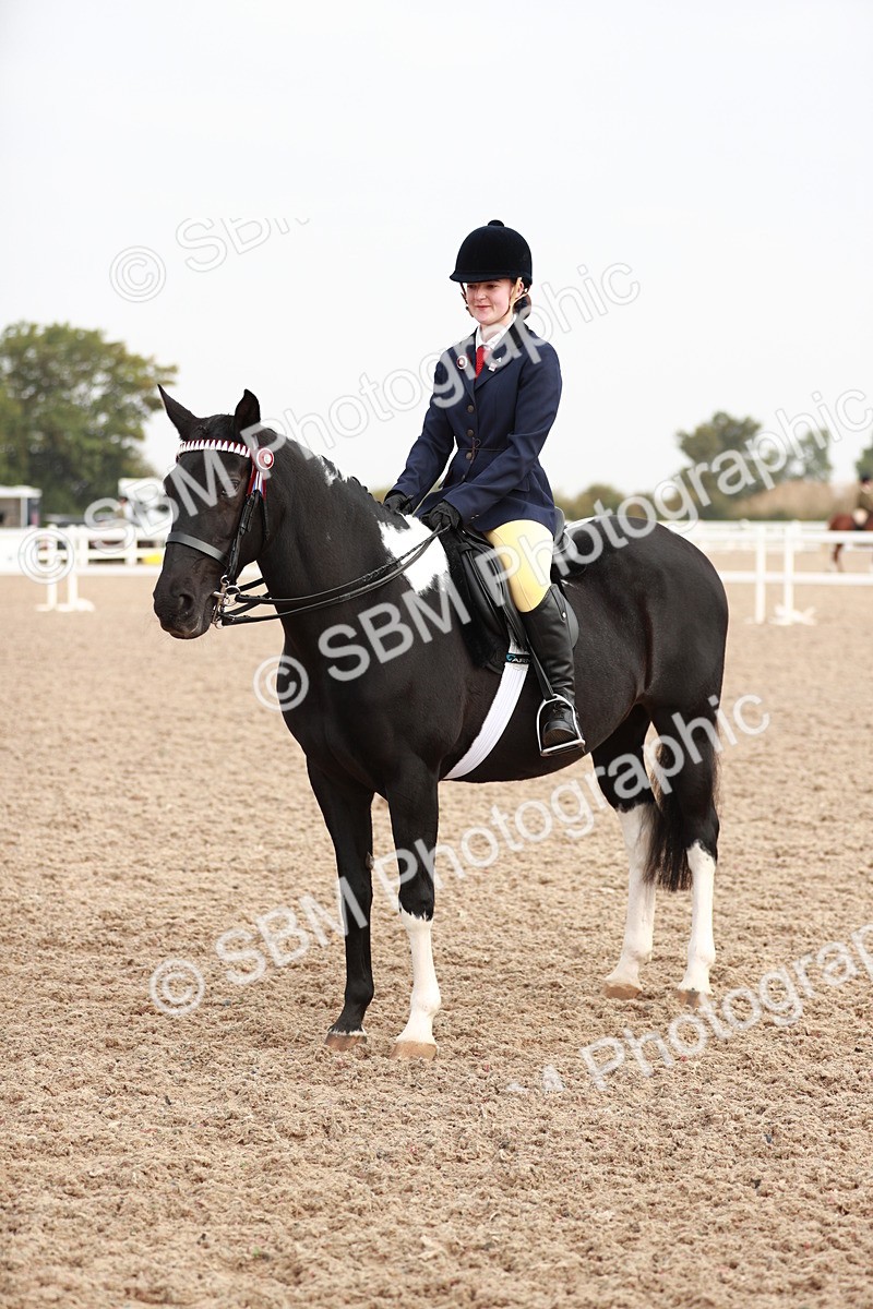 SBM_09432 - Class 202 Best Turned Out Ridden