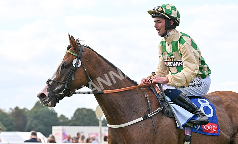 220826-148 Daiquiri Bay - Race 4 15.35pm Sky Bet Ebor Handicap