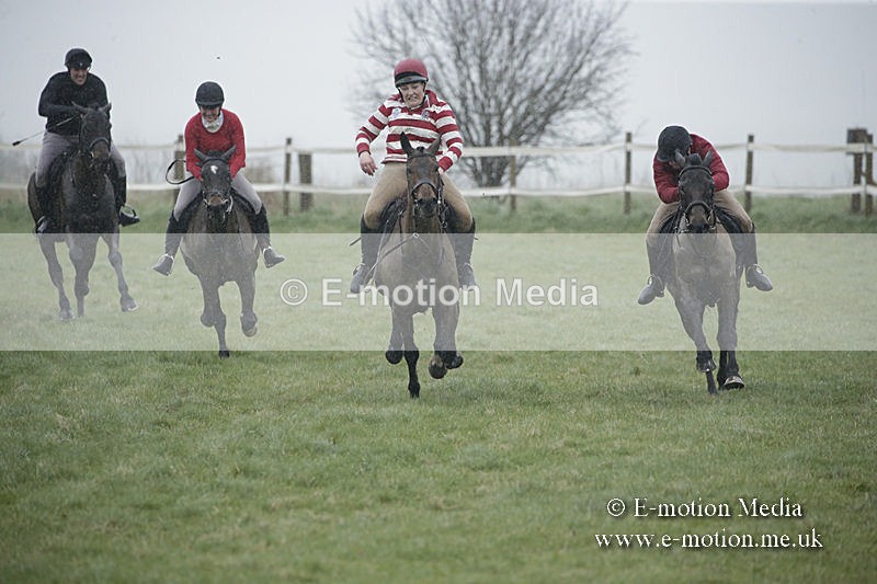 PtP 150320 0003 - New Forest Point-to-Point Larkhill 15/03/20
