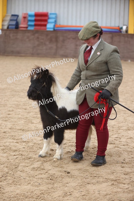 20251109-0179 - Class 9 - Foals