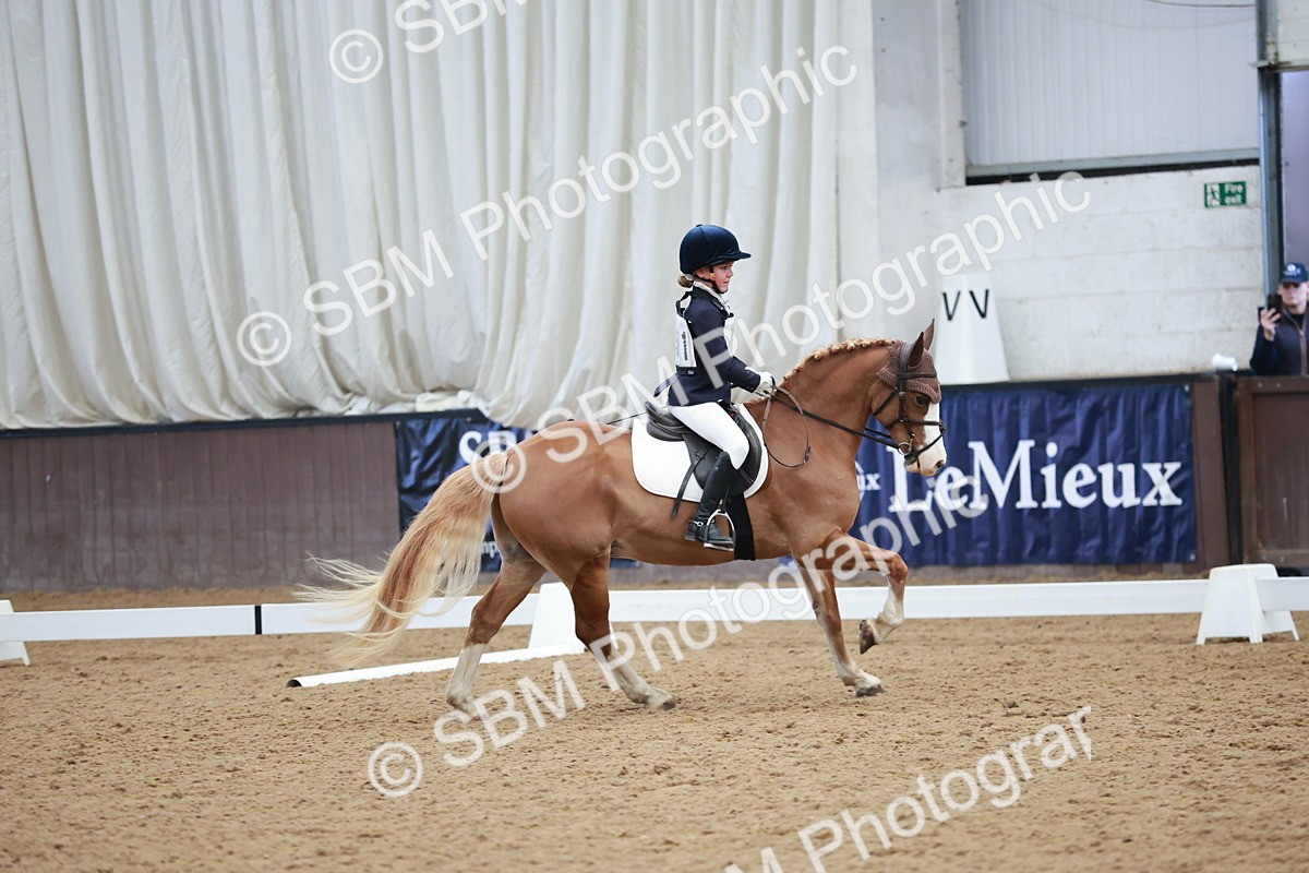 SBM_003978 - Class 2 - Novice 2020