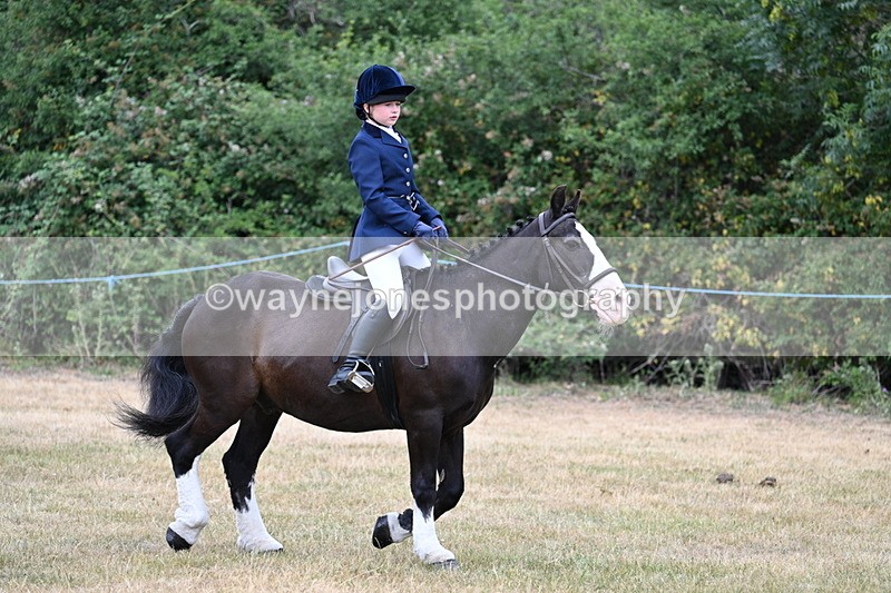 WJ7_0340 - Class 2 Best rider