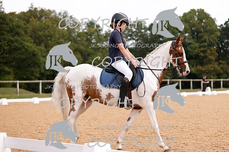 _R6A2617 - Dressage Morning