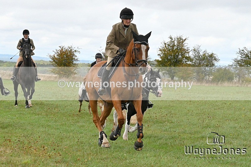 WJ7_0971 - Berks & Bucks Hound Exercise Blewbury 13-09-26