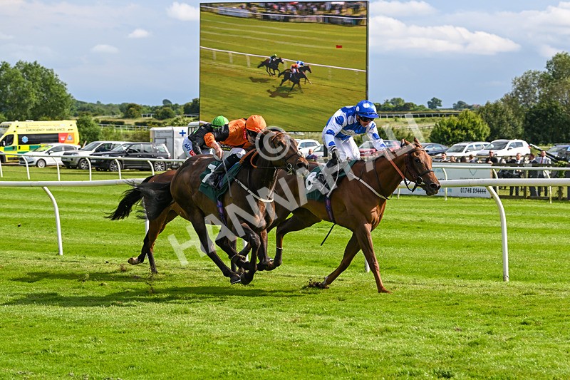 180624-Race 5-Sea The Dream-0579 - Race 5