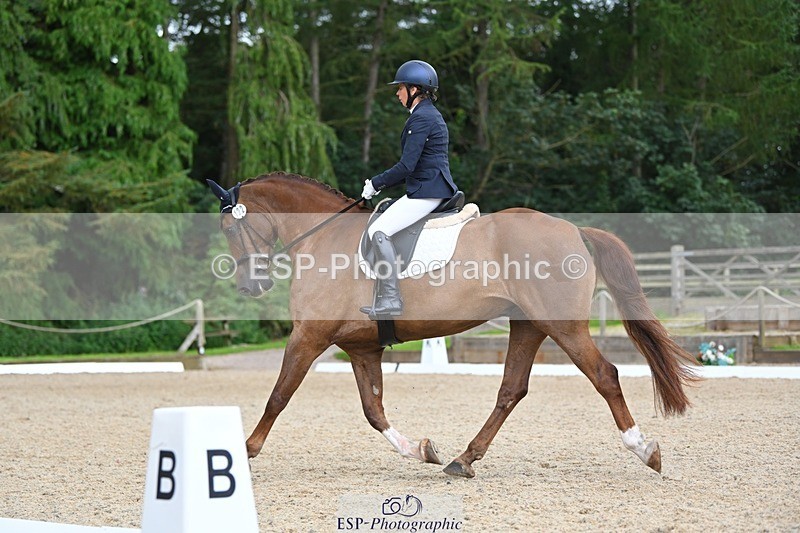 230813-114520-06695 - Cls 12 Elem Silver 10.35 to End