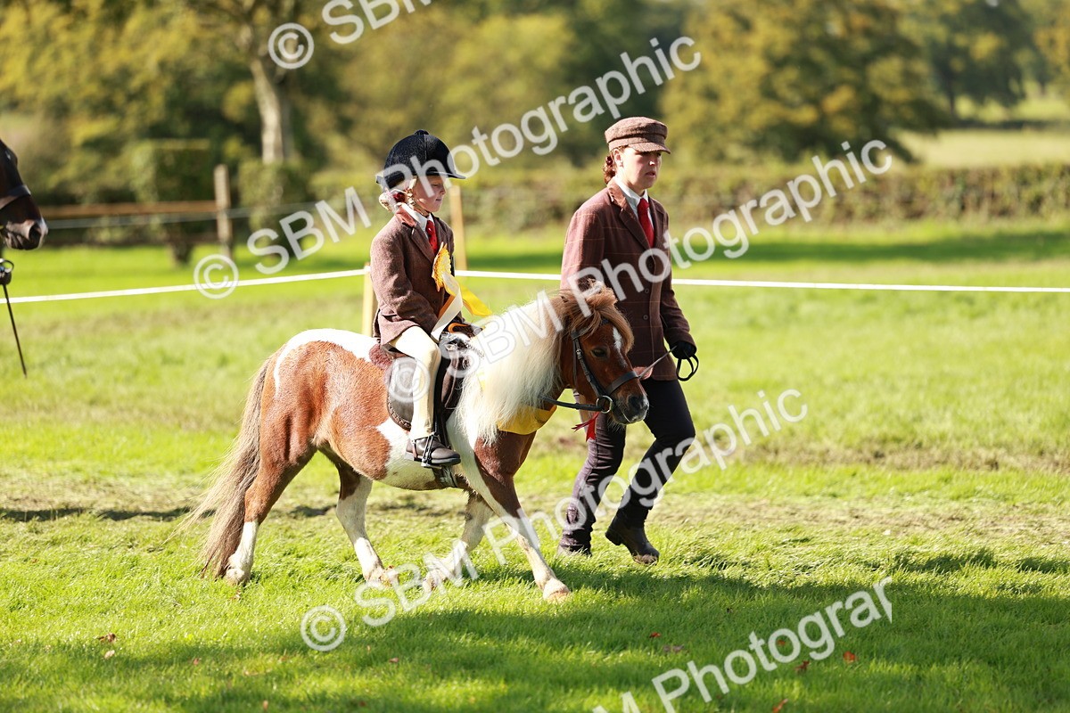 SBM_42230 - S32 - Mountain & Moorland Working Hunter Pony