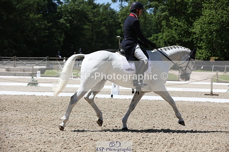 230526-125241-06277 - 163-UVERA_Z-Harry_Meade-WEDTrotUp+DR