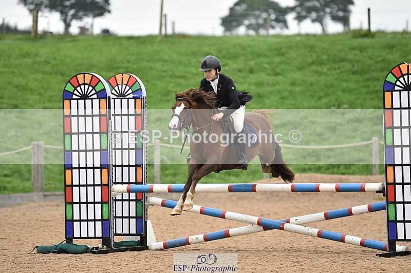 230902A-114016-00799 - Cls 2B Pony Small 80cm