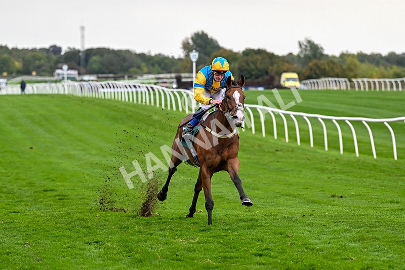 011025-Race 7-Lightning Tiger-0801 - Race 7