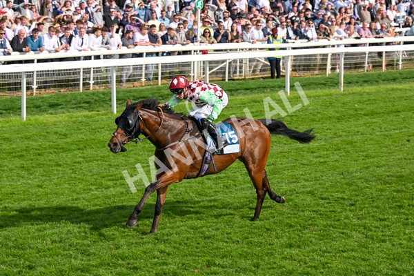 170524-Race 6-Riot-8530 - Race 6 4.45pm Yorkshire Equine Practice Handicap