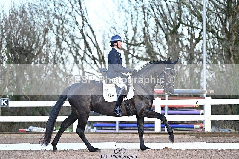 241214-091109-00894 - 151-Elder.Klatzko-Dynasty.Hit