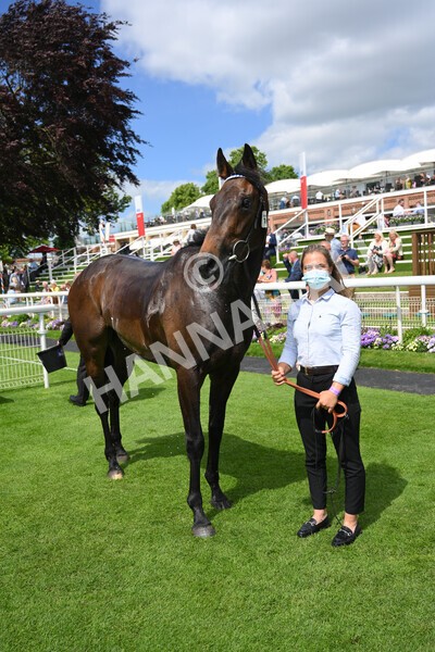 yr12062021r2-42 - Race 2 2.35pm The JCB Stakes