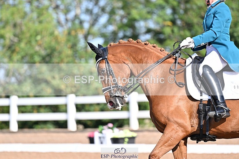 250816-092516-02263 - 007-kelly.jewellAvalon