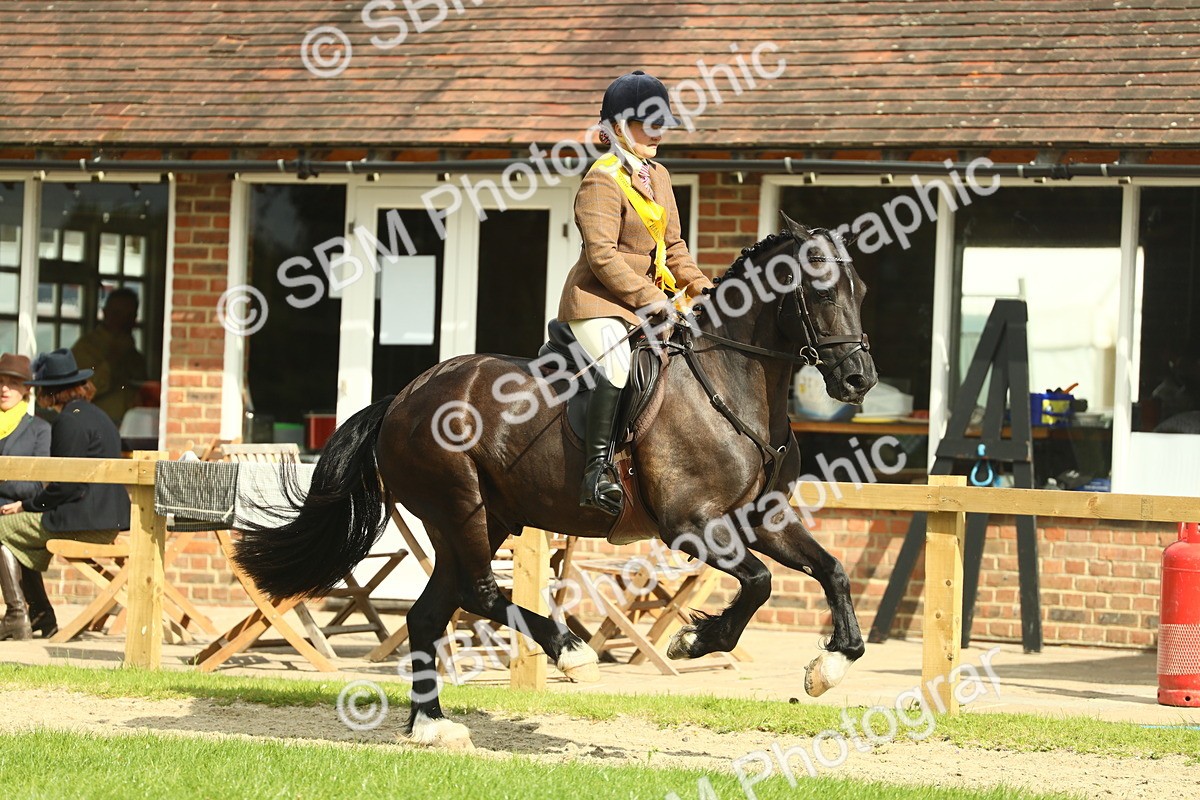 SBM_44919 - Working Hunter Pony Supreme Championship