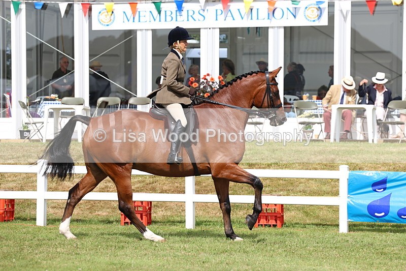 3E7A9302 - Class 4: Rising Star M/H Hunter