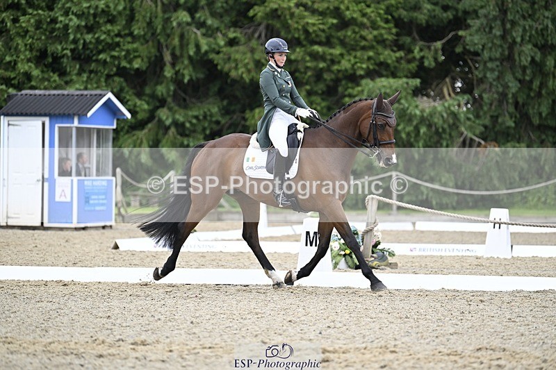 000101-212637-04312 - 412-WELLFIELDS_LINCOLN-Susie_Berry