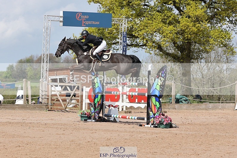 250427-114230-16051 - Cls 36 Young Horse 7yr old