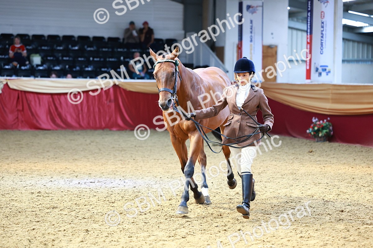 SBM_23272 - Class 903 - Supreme Final - IH Pre Vet