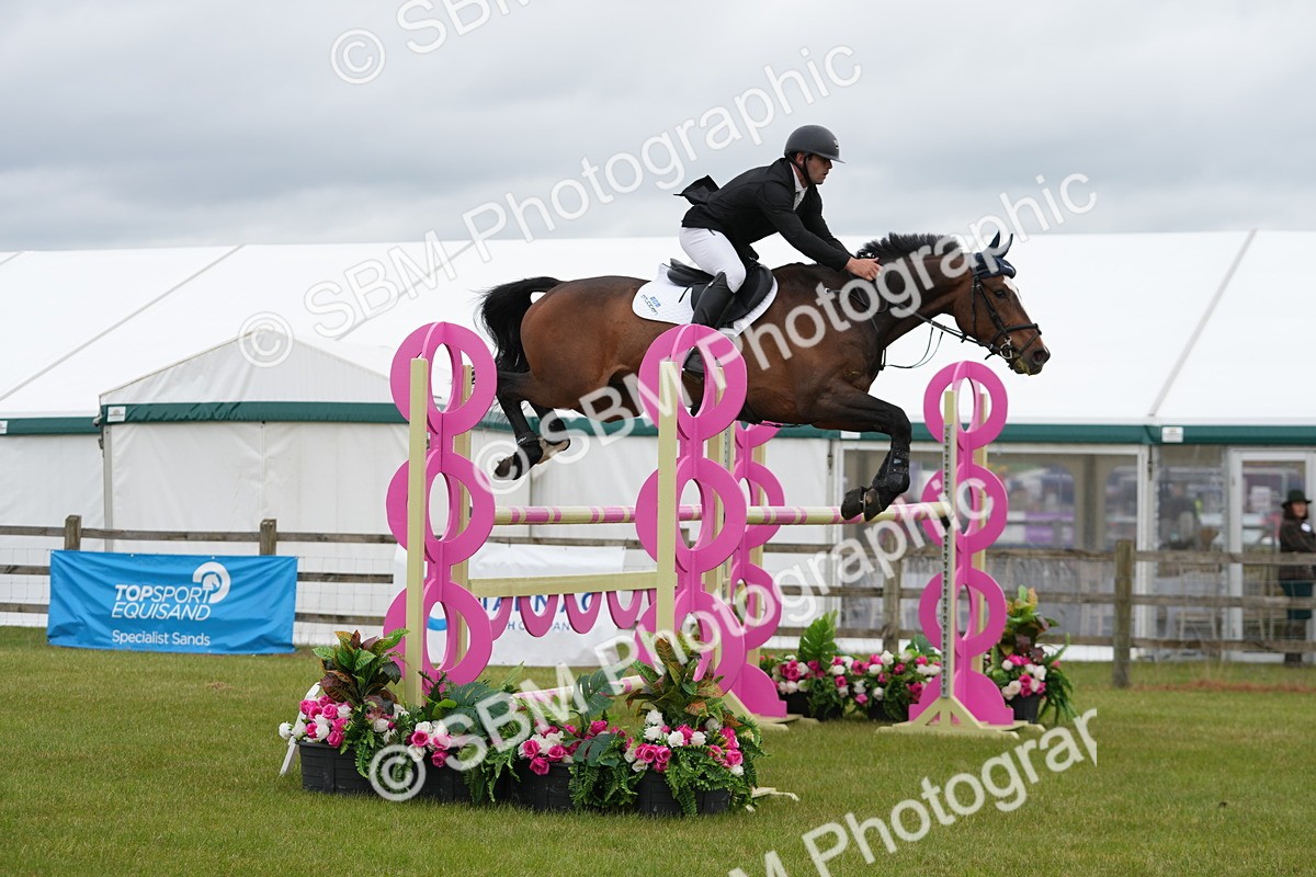 SBM_03277 - Class 201 - British Horse Feeds Speedi Beet Horse of the Year Show Grade  C