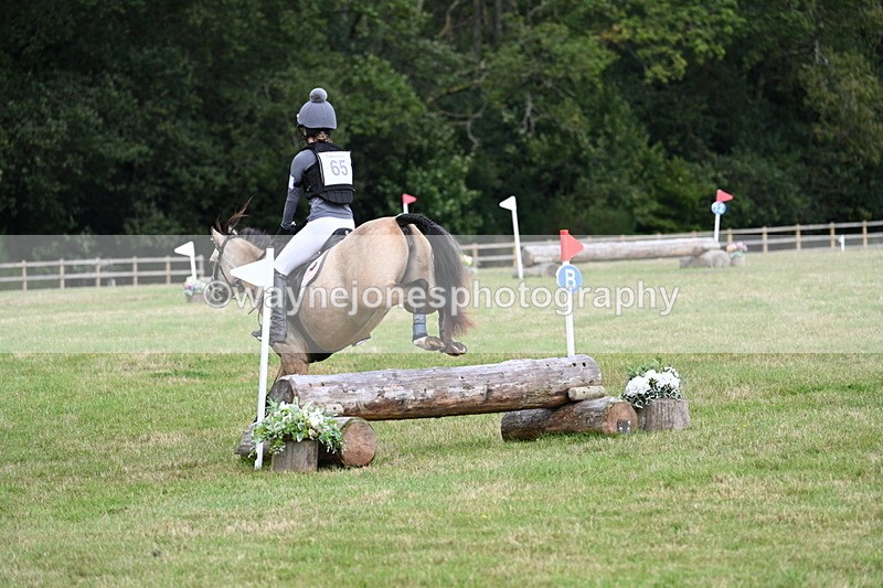 WJ7_8873 - 60cm Time 12:31 to 12:50