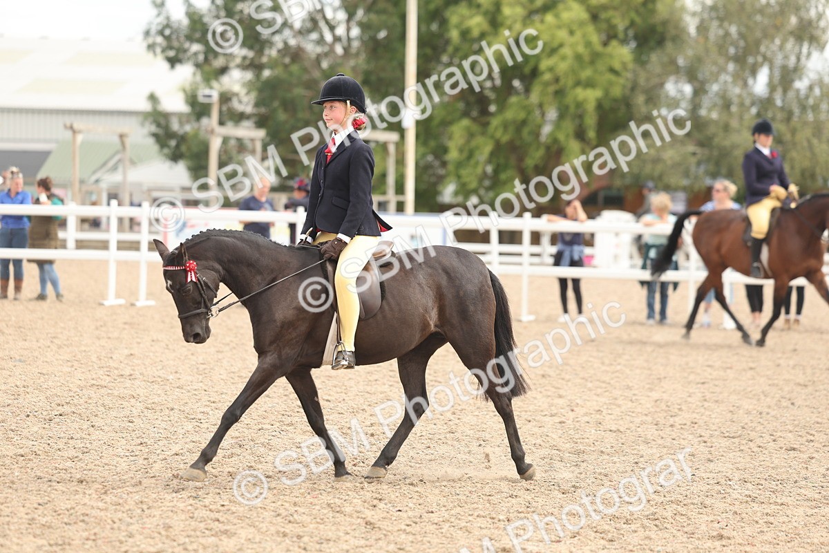 SBM_15992 - Class 311 - Ridden Show pony-Show hunter Pony