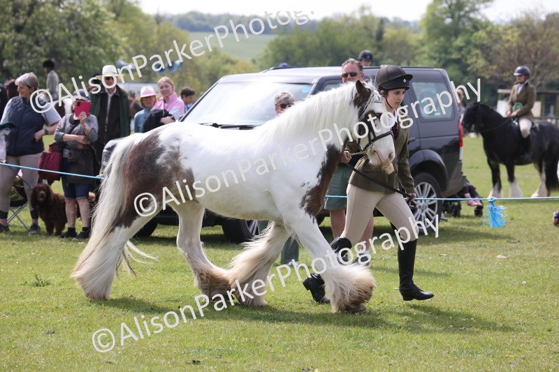 20260426-3340 - Class 27 - Coloured Horses and Ponies