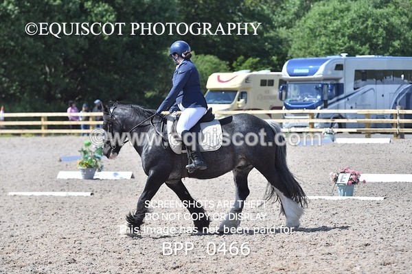 BPP_0466 - MFS NOVICE