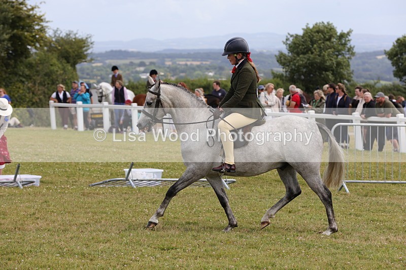 1X9A4038 - Class 32: Show Hunter Pony 153cm and under