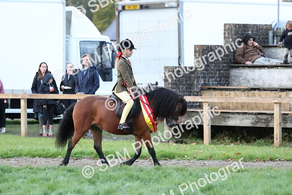 SBM_53454 - Super Supreme Championship (Sat)