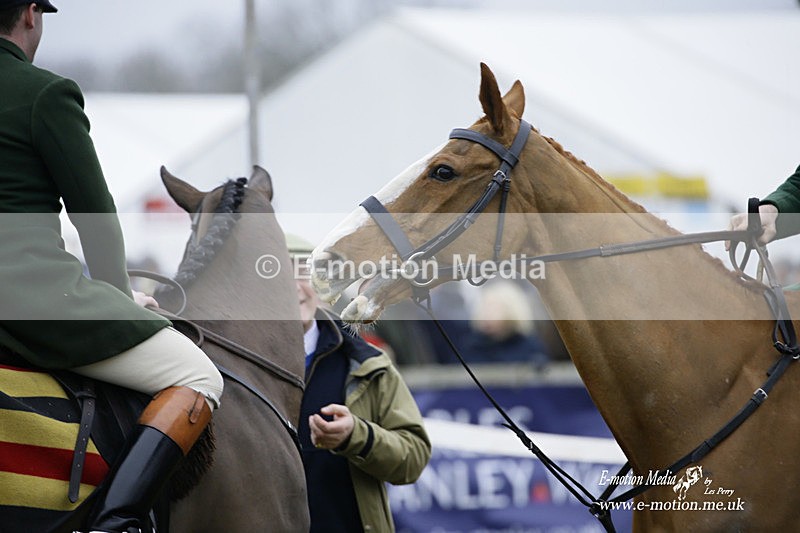 PtP 230122 199 - Cocklebarrow Races - Heythrop Hunt - 23/01/22