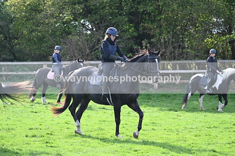 WJ7_1036 - Time 14:27 to 15:11