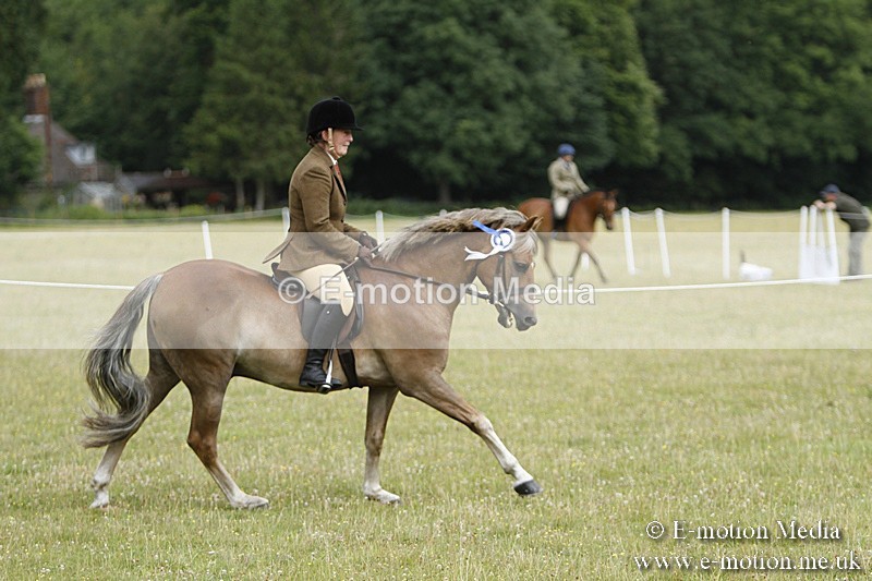 BVR160717-198 - Ring 3 BVRC Show 16/07/17