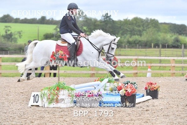 BPP_1793 - DERBY CLASS 5 - 60CM