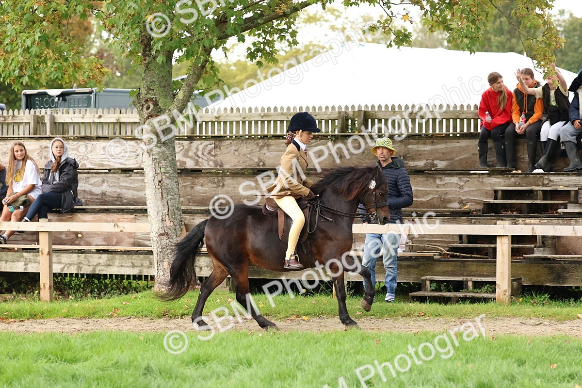 SBM_44997 - S27 - Young Veteran Ridden