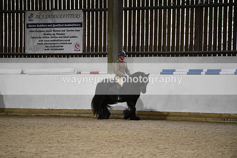 WJ5_8118 - Class 14 Novice Ridden/Rider