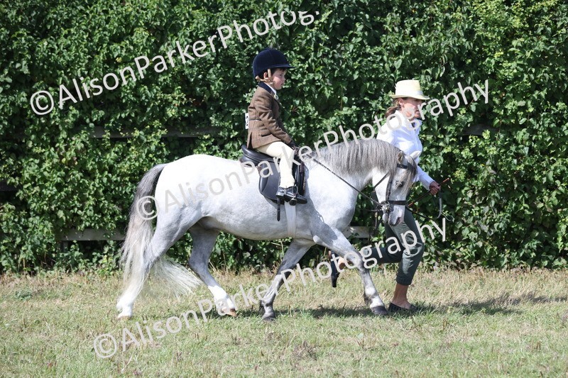 20250831-2652 - Class 17 - Lead Rein Pony