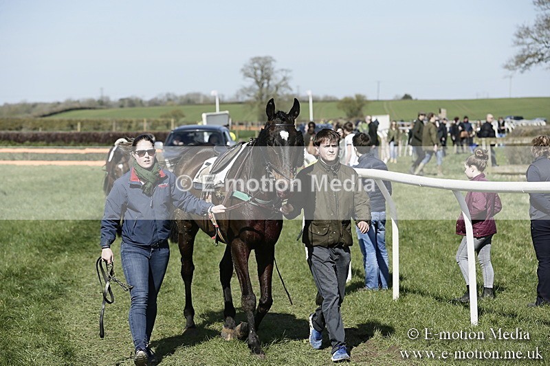 PtP 250317 68 - V.W.H. Hunt Point-to-Point Siddington 25/03/17