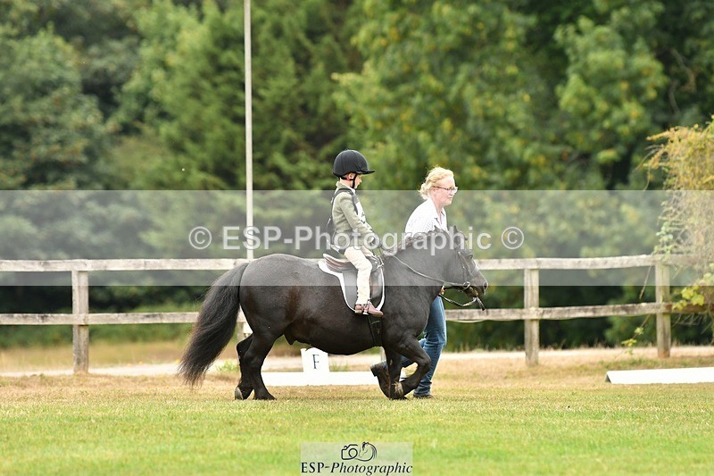 250820A-113329-05135 - 11am to 12